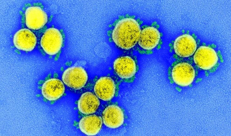 El virus de la COVID-19 ni se creó ni se escapó de un laboratorio