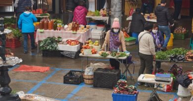 La urgencia de un plan de alimentación para la pospandemia en América Latina