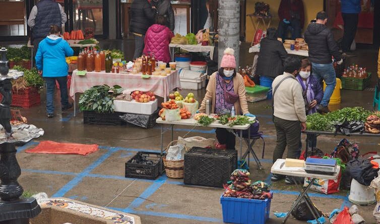 La urgencia de un plan de alimentación para la pospandemia en América Latina