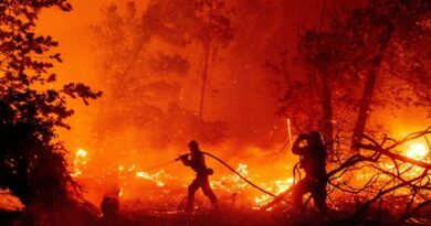 No solo hay incendios en California: toda América está en llamas