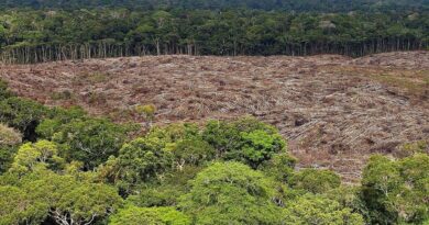 Clima, salud vegetal y bienestar humano, más conectados que nunca