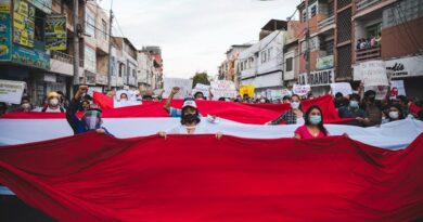 Perú: cómo un proyecto autoritario cayó en solo 6 días