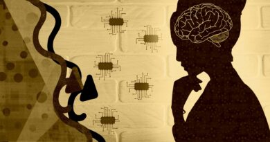 El cerebro femenino: por qué resurgen los mitos nocivos sobre mujeres y ciencia
