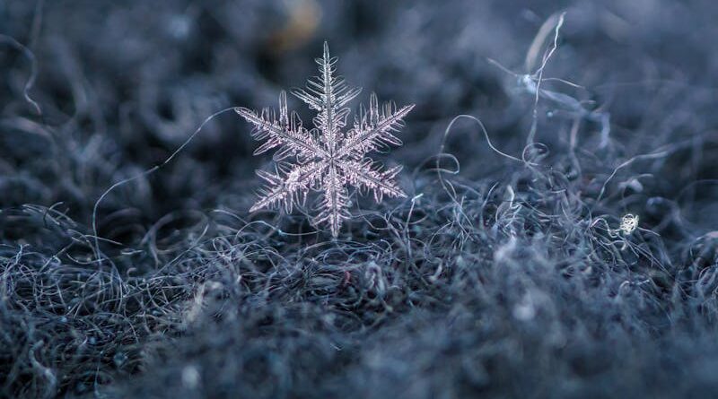 Por qué los copos de nieve son hexagonales y simétricos