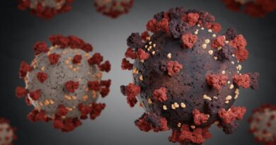 La complejidad de las nuevas variantes del coronavirus