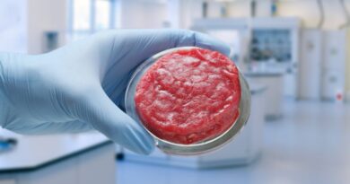 La llegada de la carne artificial y sus consecuencias para la ganadería