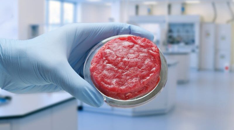 La llegada de la carne artificial y sus consecuencias para la ganadería