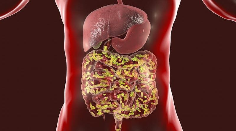 Así es como tus bacterias y microbios pueden salvarte de enfermedades como el COVID-19