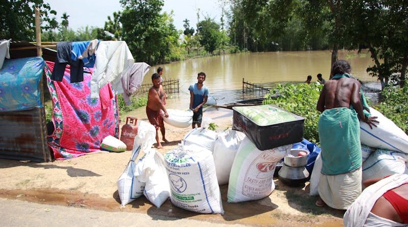 Las migraciones climáticas, otro efecto del calentamiento global