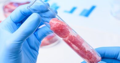 ¿Cuál es el interés nutricional de la carne artificial?