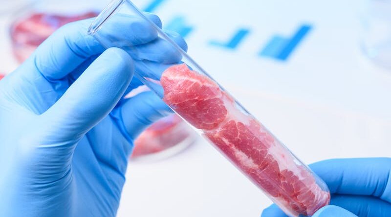 ¿Cuál es el interés nutricional de la carne artificial?