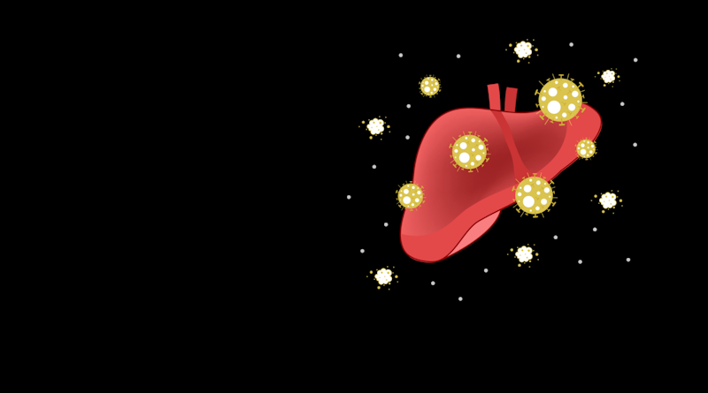 Así afecta la infección por coronavirus al hígado