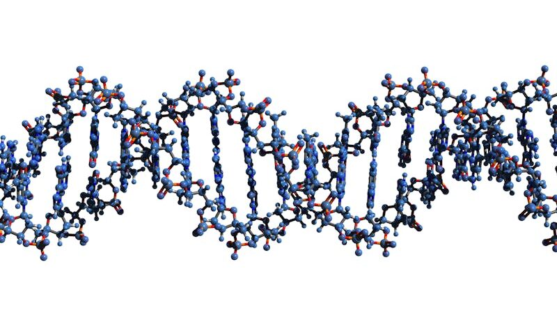 Virus con ADN “extraterrestre”