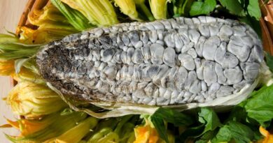 Huitlacoche: el horroroso manjar de los dioses