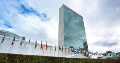 ¿Para qué sirve la ONU? Estas son sus fuerzas y sus debilidades