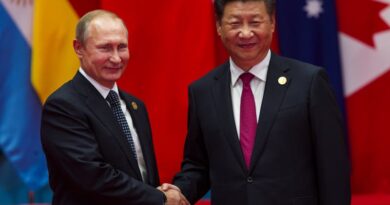 Oso y dragón: el vínculo estratégico entre Rusia y China en el nuevo orden multipolar