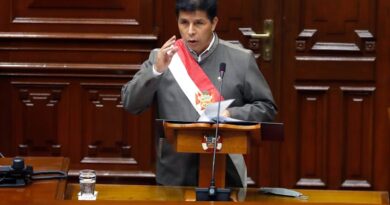 ¿Hay una crisis institucional en Perú?