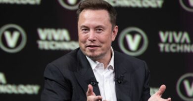 Fortalezas y debilidades de emprendedores y visionarios: el caso Musk